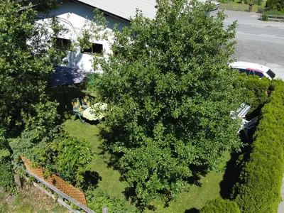 Ein Garten an der Unterkunft Apartment Peter by Interhome