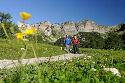 Naturlandschaft in der Nähe des Ferienhauses
