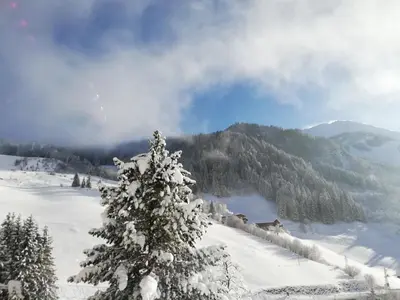 Oberhaidbachhof im Winter