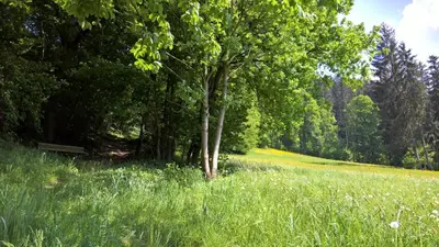 Naturlandschaft in der Nähe der Ferienwohnung