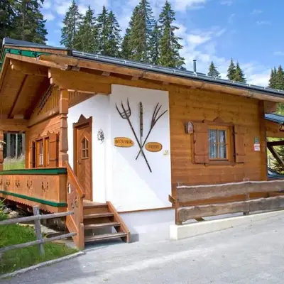 Chalet in Austria near Ski Lift & Forest