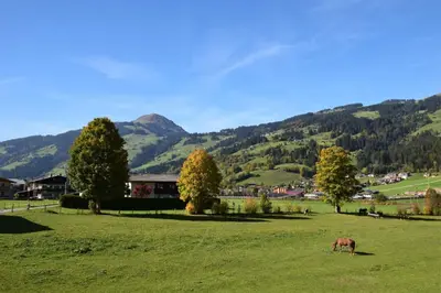 Naturlandschaft in der Nähe der Ferienwohnung