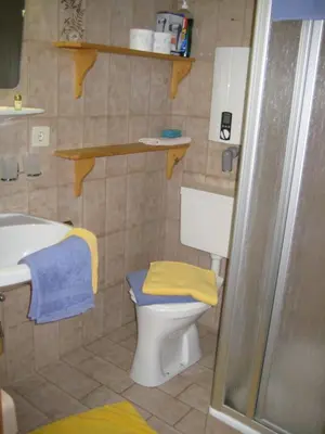 Ein Badezimmer in der Unterkunft Apartment Hölzlbauer
