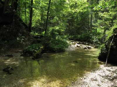 Naturlandschaft in der Nähe des Aparthotels