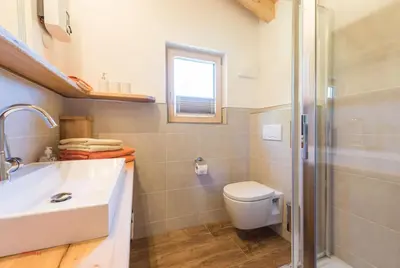 Ein Badezimmer in der Unterkunft Almliesl HOLL-559