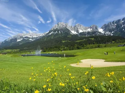Naturlandschaft in der Nähe der Ferienwohnung