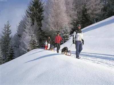 Gäste, die in der Unterkunft Apartment in Going near Ski Lift übernachten