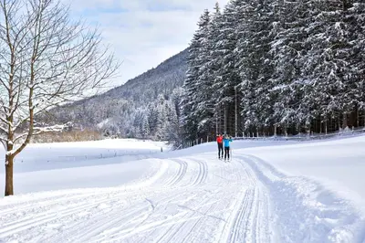 Wildkogel Resorts - DAS Wildkogel im Winter