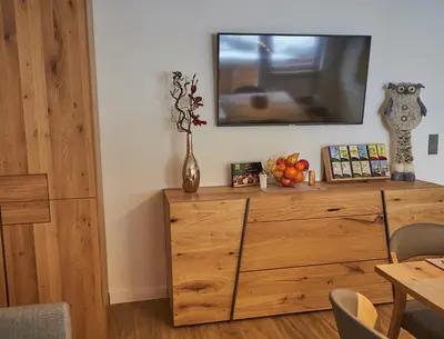 TV/Unterhaltungsangebot in der Unterkunft Saalbacher Perle Top 4