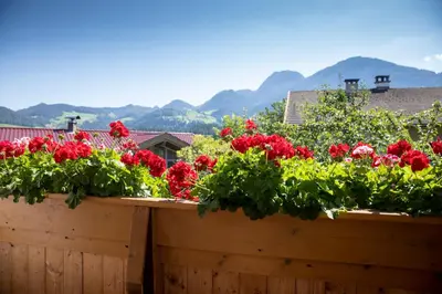 Ein allgemeiner Bergblick oder ein Berglick von der Ferienwohnung aus
