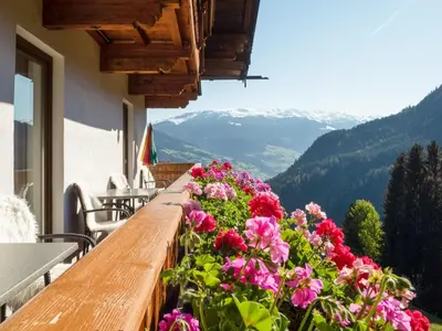 Naturlandschaft in der Nähe der Ferienwohnung