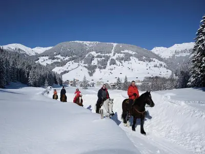 Apartment in Zillertal near Ski Slopes im Winter