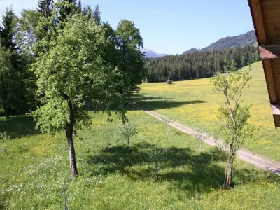 Naturlandschaft in der Nähe des Ferienhauses
