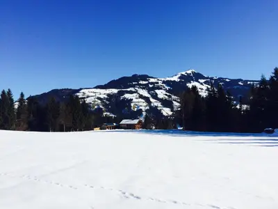 Naturlandschaft in der Nähe des Ferienhauses