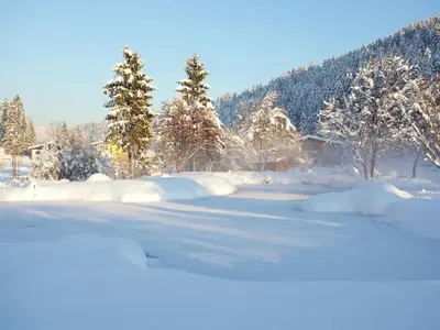 Chalet in Angerberg near SkiWelt Slopes im Winter