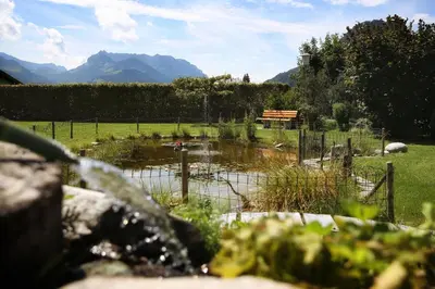 Naturlandschaft in der Nähe der Ferienwohnung