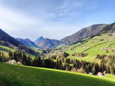 Naturlandschaft in der Nähe der Ferienwohnung