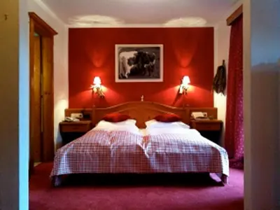 Ein Bett oder Betten in einem Zimmer der Unterkunft Hotel Gamshof