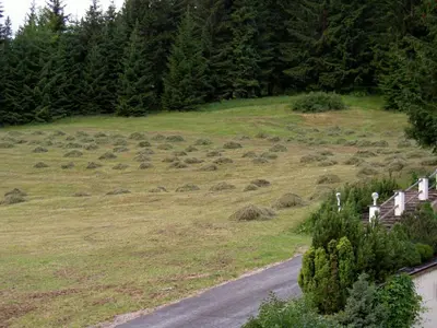 Naturlandschaft in der Nähe of country house