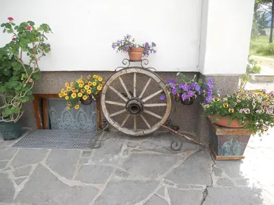 Ein Garten an der Unterkunft Neuschwendterhof
