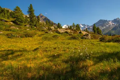 Naturlandschaft in der Nähe der Ferienwohnung