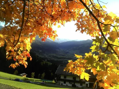 Naturlandschaft in der Nähe der Ferienwohnung