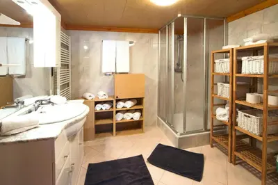 Ein Badezimmer in der Unterkunft Chalet in Wildkogel near Ski Slopes & Pool