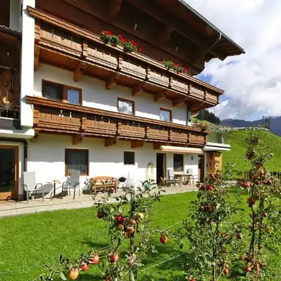 Apartment in Hippach near Horbergbahn