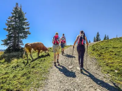 Tiere in der Ferienwohnung oder in der Nähe