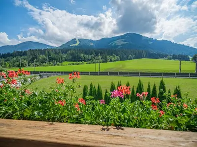 Naturlandschaft in der Nähe der Ferienwohnung