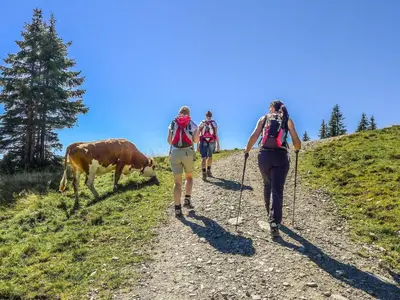 Tiere in der Ferienwohnung oder in der Nähe