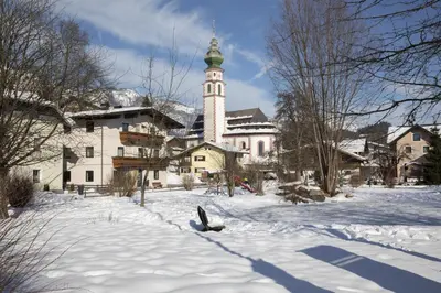 Schwaiger im Winter