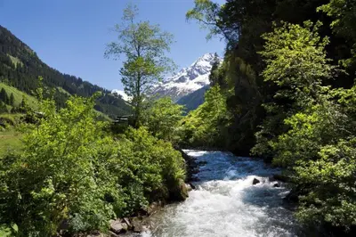 Naturlandschaft in der Nähe der Ferienwohnung