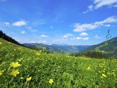 Naturlandschaft in der Nähe des Chalets