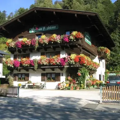 Apartment in Saalbach near Ski Slopes