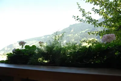 Ein allgemeiner Bergblick oder ein Berglick von der Ferienwohnung aus
