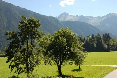 Naturlandschaft in der Nähe der Ferienwohnung