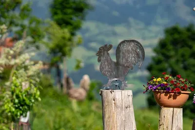 Naturlandschaft in der Nähe der Ferienwohnung