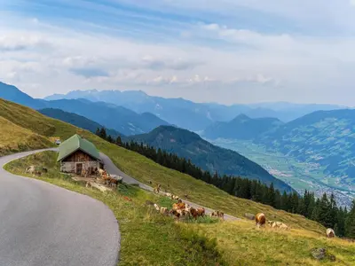 Naturlandschaft in der Nähe der Ferienwohnung