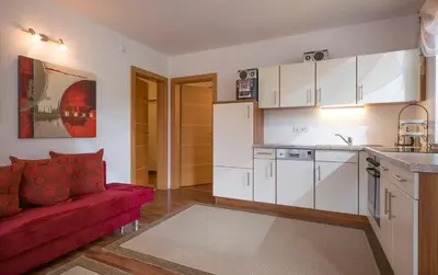 Küche/Küchenzeile in der Unterkunft Appartement Hoschek
