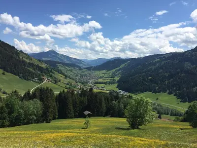 Naturlandschaft in der Nähe der Ferienwohnung