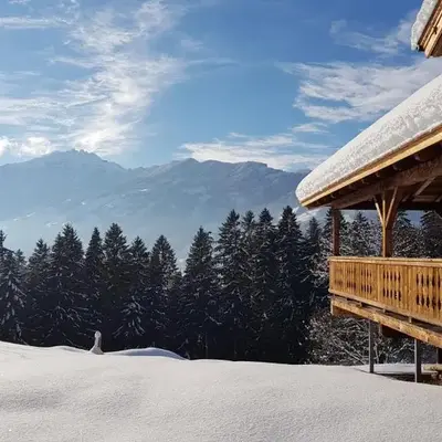 Superior Chalet Brandleit