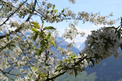 Naturlandschaft in der Nähe der Ferienwohnung