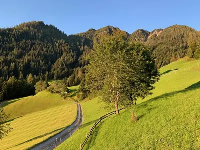 Naturlandschaft in der Nähe des Ferienhauses