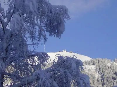 Ein allgemeiner Bergblick oder ein Berglick von der Ferienwohnung aus