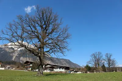 Naturlandschaft in der Nähe des Bed & Breakfasts