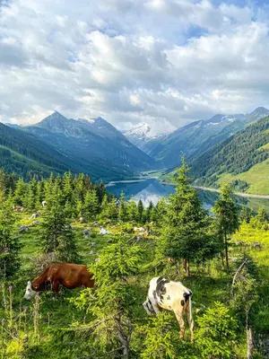 Naturlandschaft in der Nähe der Ferienwohnung