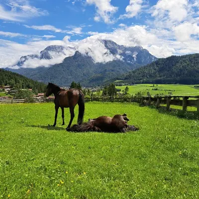 Ein allgemeiner Bergblick oder ein Berglick von des Bauernhofs aus