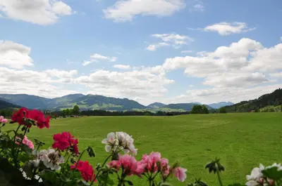 Naturlandschaft in der Nähe des Privatzimmers