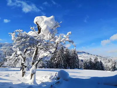 Haus Leo im Winter